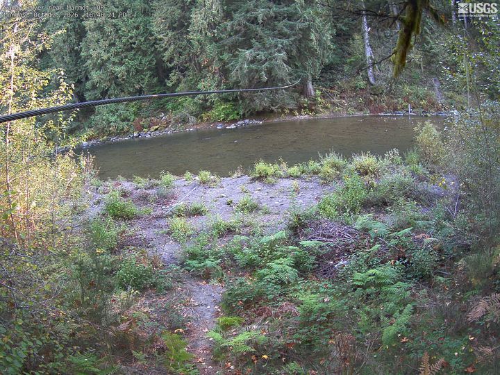 Sandy River near Marmot