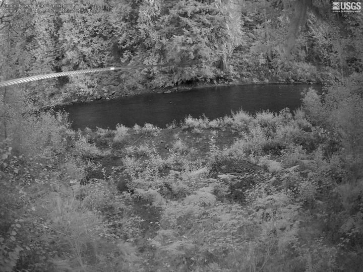 Sandy River near Marmot, OR: the newest picture from the USGS camera