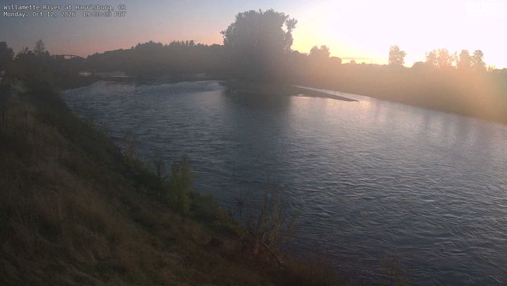 Willamette River at Harrisburg, OR: the newest picture from the USGS camera