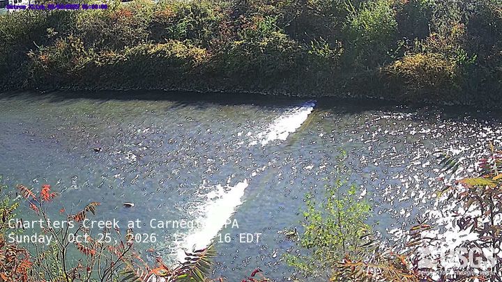 Latest USGS camera picture of Chartiers Creek at Carnegie