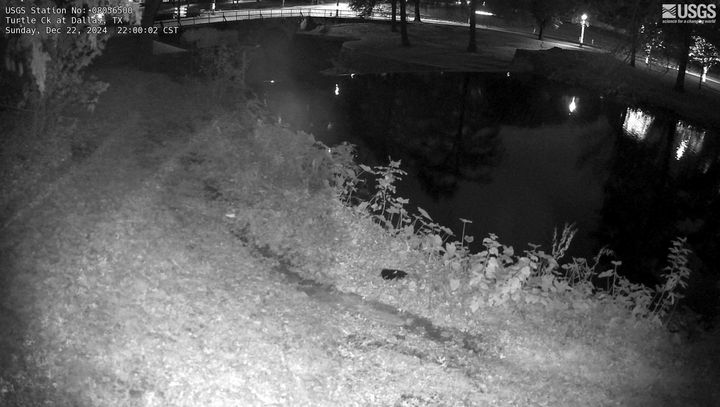 Current view from Turtle Creek webcam