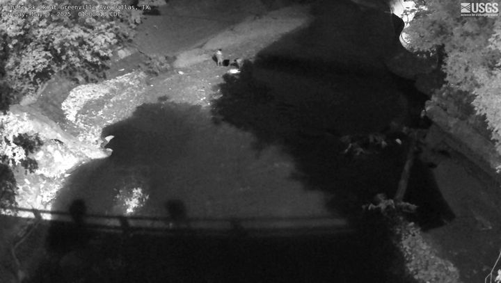Current view from White Rock Creek webcam