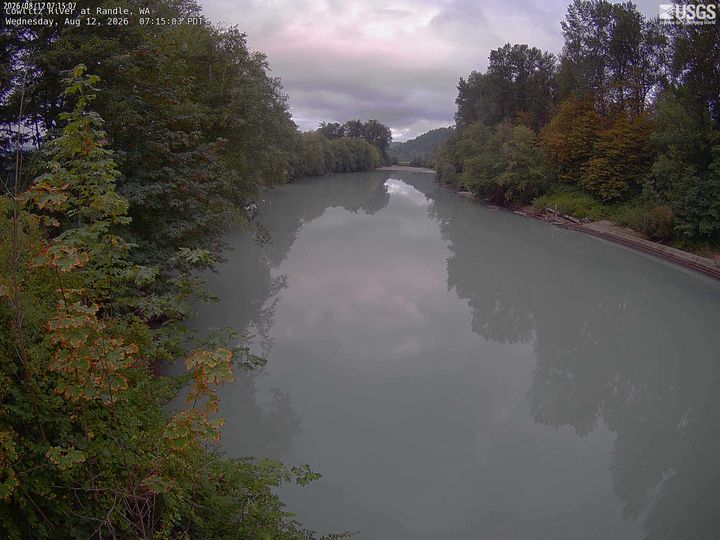 Webcam facing the Cowlitz river