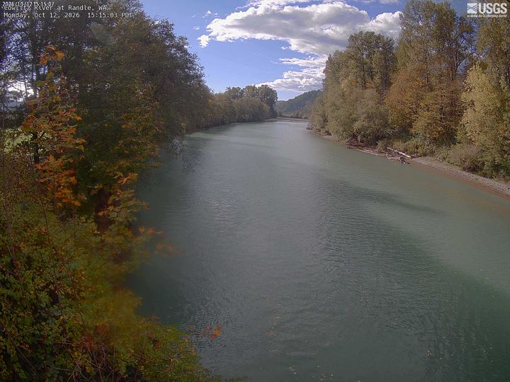 Cowlitz River at Randle