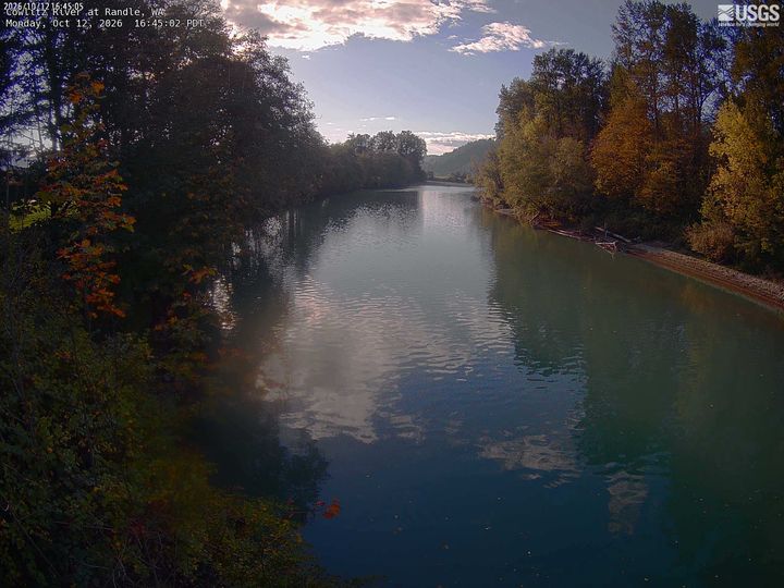 Cowlitz River at Randle