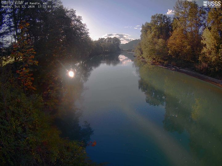 Cowlitz River at Randle