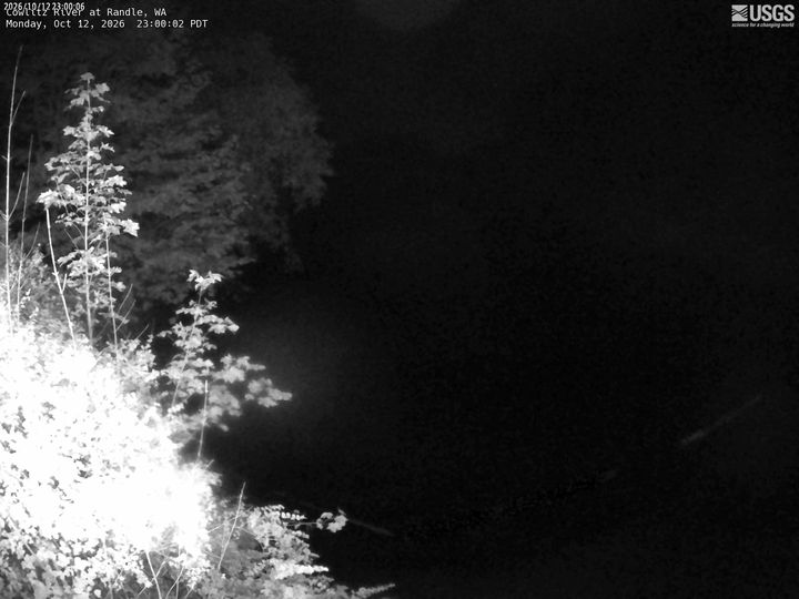 Cowlitz River at Randle: the newest picture from the USGS camera