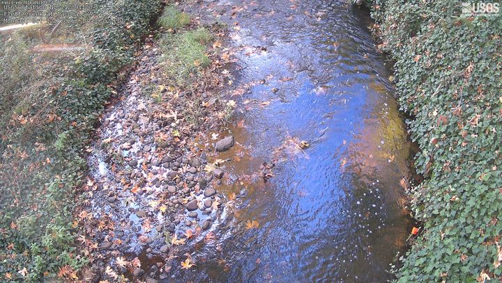 Flett Creek at Tacoma