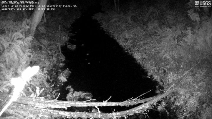 Web camera image from Leach Creek, a small forested creek