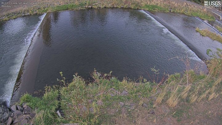 Mill Creek at Walla Walla Channel