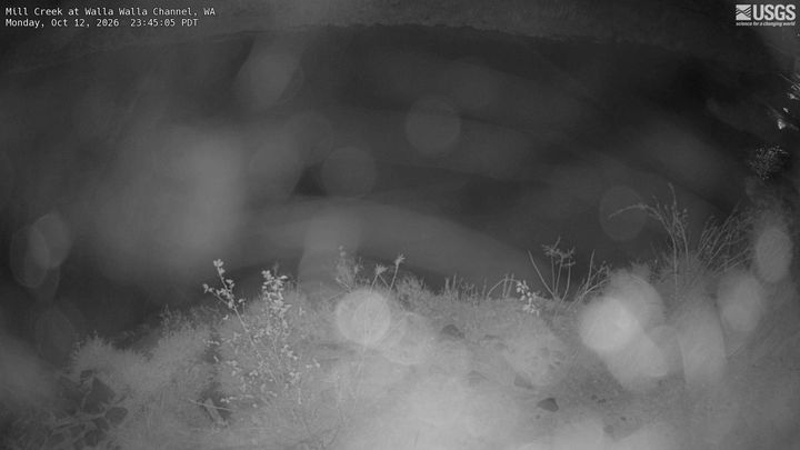 Mill Creek at Walla Walla Channel: the newest picture from the USGS camera