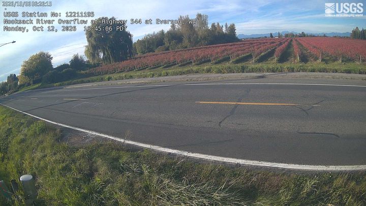 Nooksack River Overflow at Highway 544 at Everson