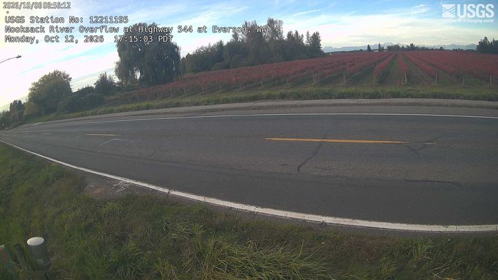 Nooksack River Overflow at Highway 544 at Everson