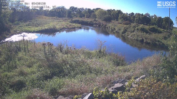 Badfish Creek nr Cooksville Webcam view