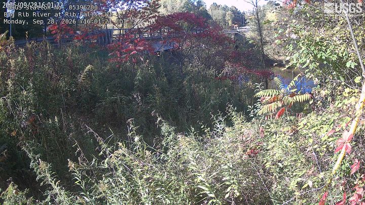 Big Rib River at Rib Falls Webcam view