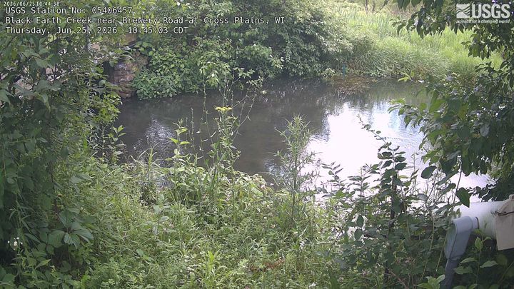 Black Earth Creek near Brewery Road at Cross Plains Webcam view