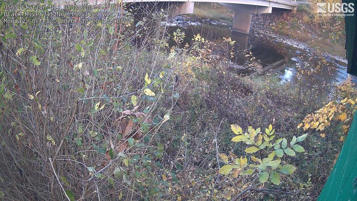 Black River (WI) at Neillsville, WI: the newest picture from the USGS camera