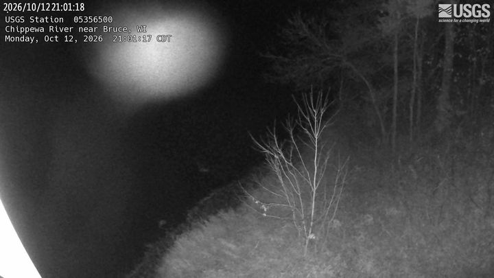 Chippewa River (WI) near Bruce, WI: the newest picture from the USGS camera