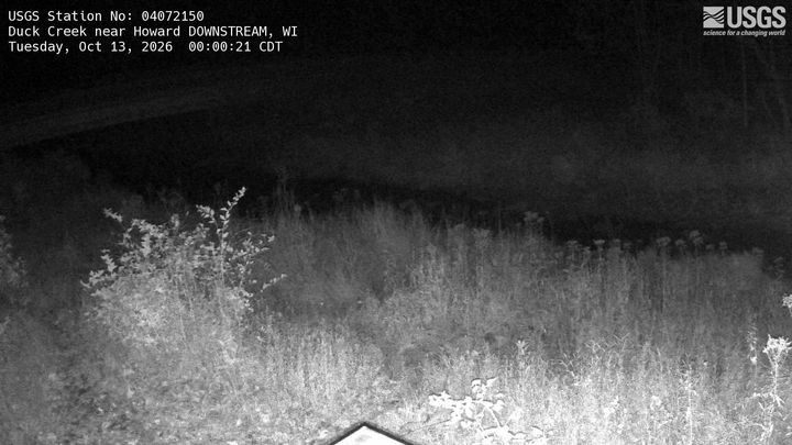 Duck Creek near Howard DOWNSTREAM: the newest picture from the USGS camera