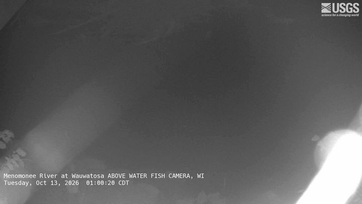 Menomonee River at Wauwatosa ABOVE WATER FISH CAMERA: the newest picture from the USGS camera
