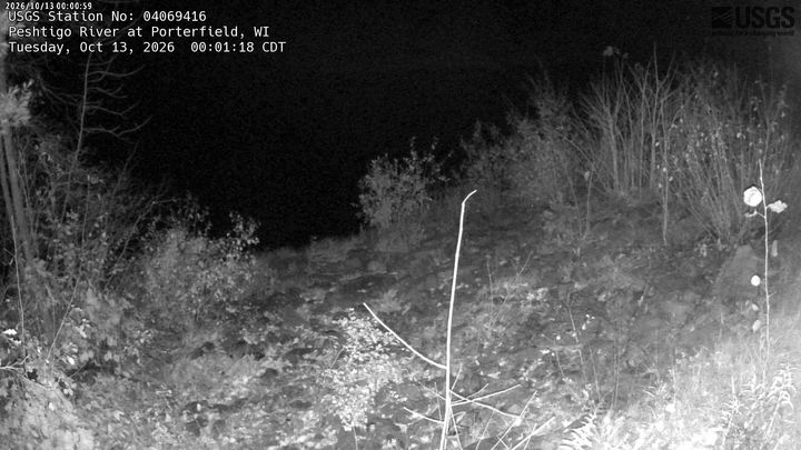 Peshtigo River near Porterfield, WI: the newest picture from the USGS camera
