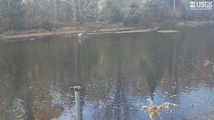 Pine River (WI) near Florence, WI: the newest picture from the USGS camera
