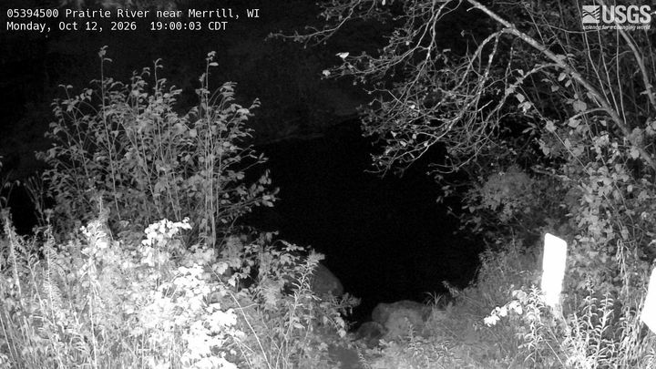 Prairie River  near Merrill, WI: the newest picture from the USGS camera