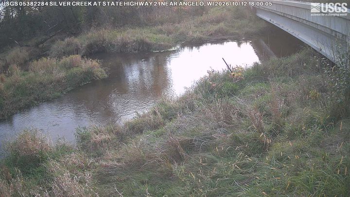 Silver Creek at State Highway 21 Near Angelo, WI: the newest picture from the USGS camera
