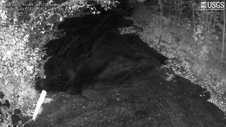 Siskiwit R at Cornucopia, WI: the newest picture from the USGS camera
