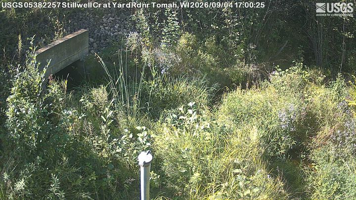 Stillwell Creek at Yard Road near Tomah Webcam view