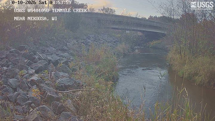 Tenmile Creek (WI) near Nekoosa, WI: the newest picture from the USGS camera