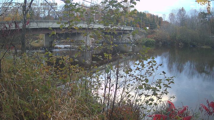 Wolf River (WI) at Langlade, WI: the newest picture from the USGS camera