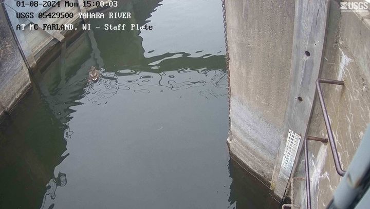 Yahara River at McFarland STAFF PLATE Webcam view