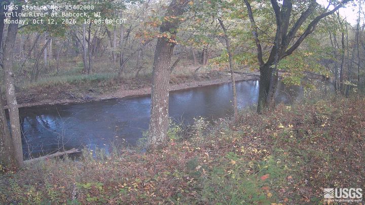 Yellow River (WI) at Babcock, WI: the newest picture from the USGS camera