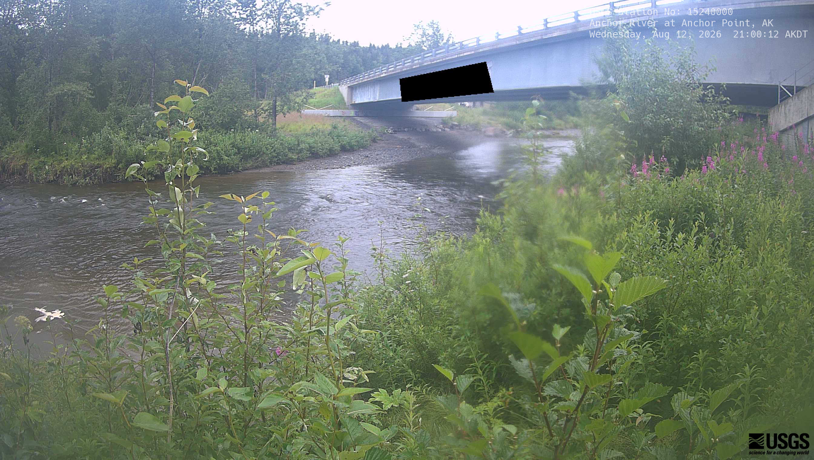 Most recent image at Anchor River at Anchor Point