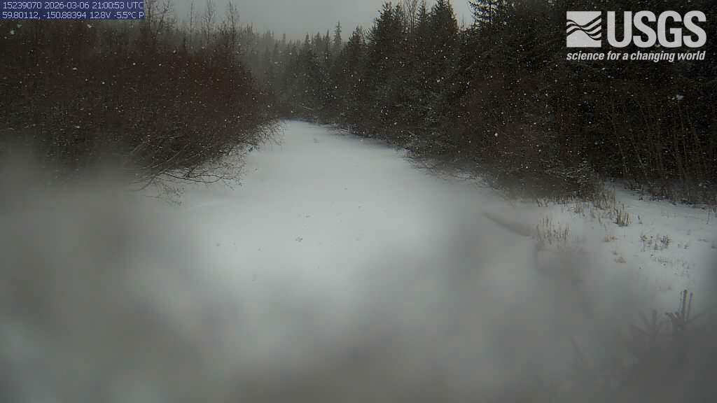 USGS HIVIS CAM Bradly River near Tidewater near Homer