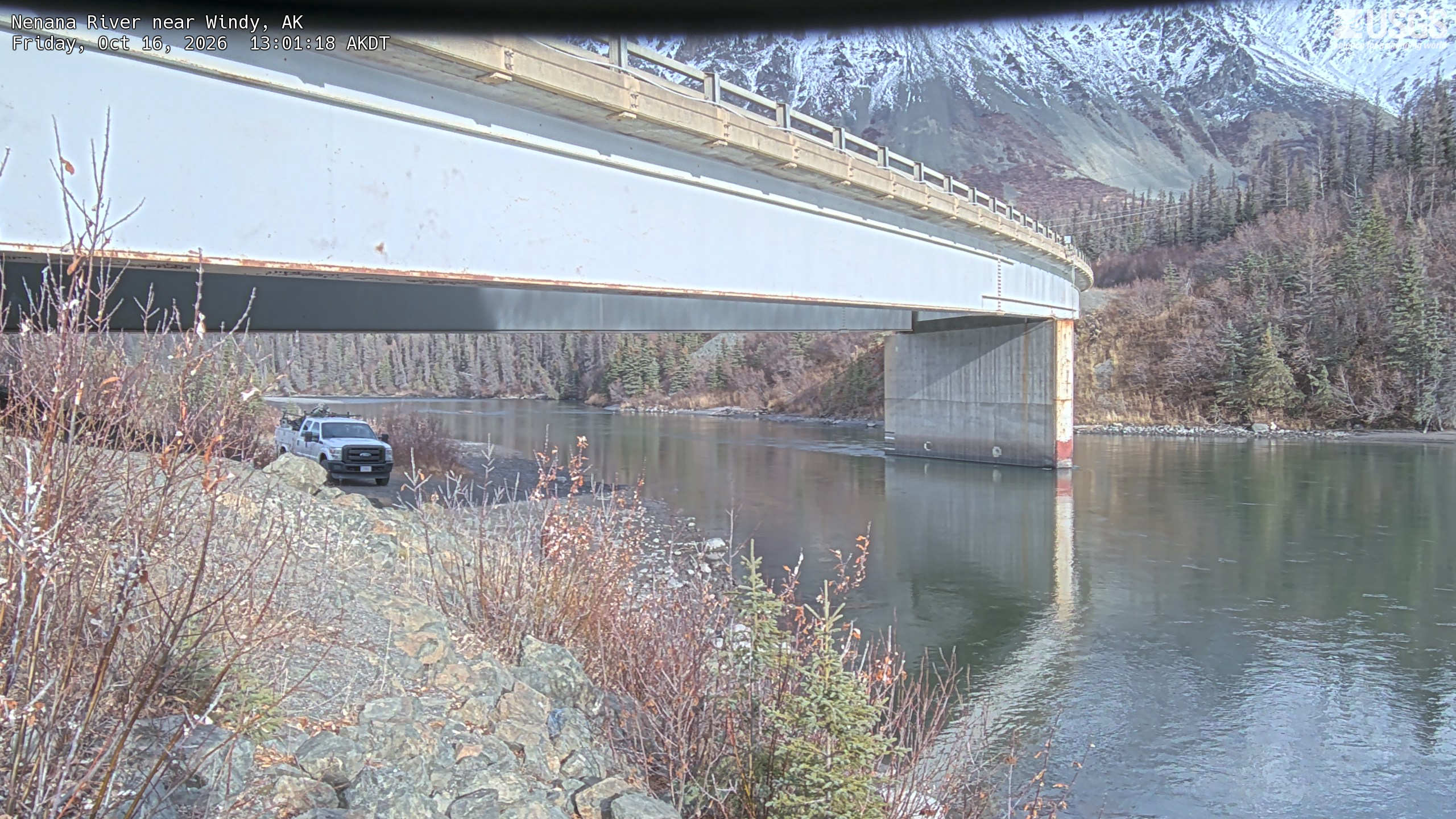 Most recent image at Nenana River near Windy