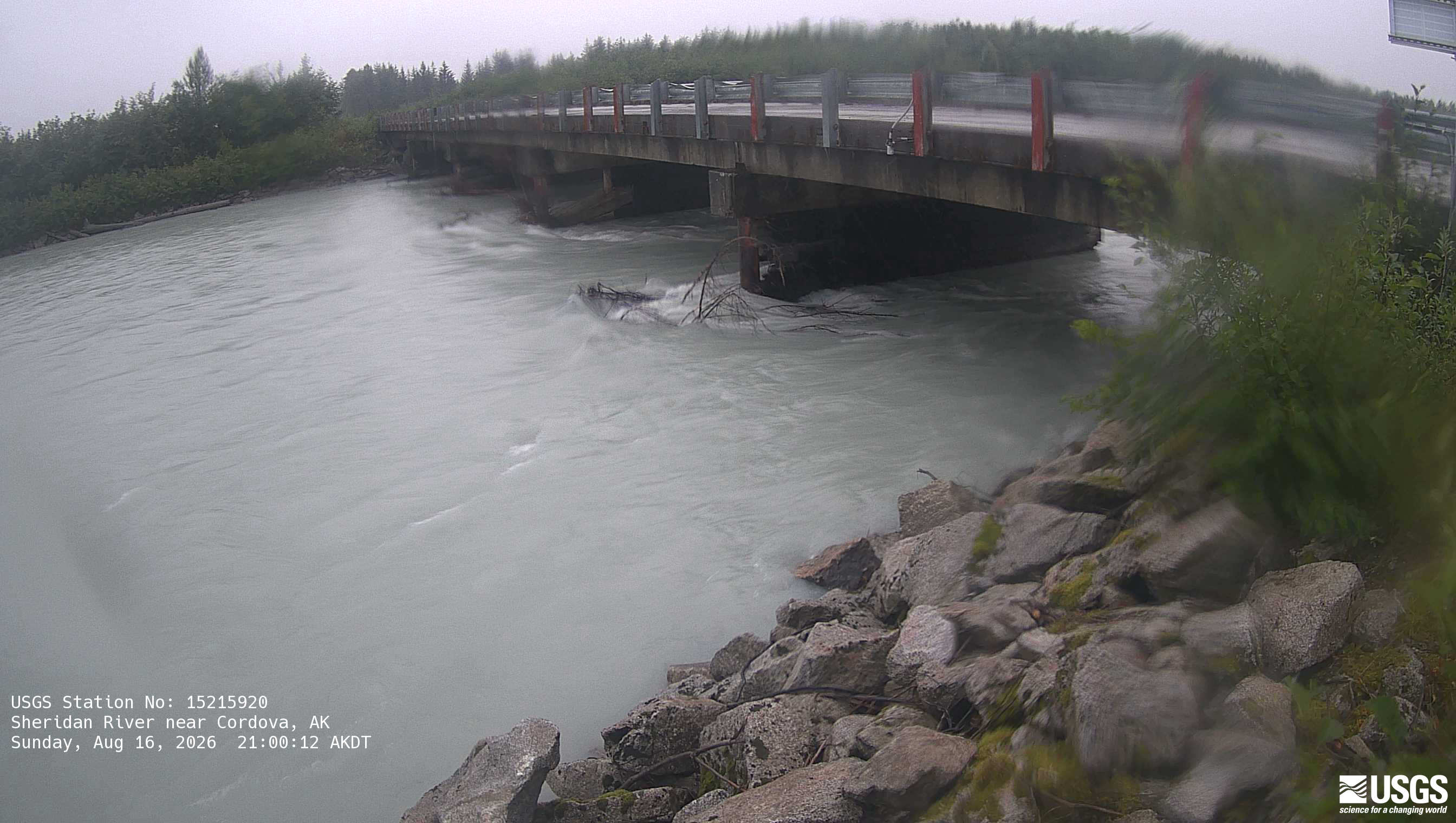Most recent image at Sheridan River near Cordova