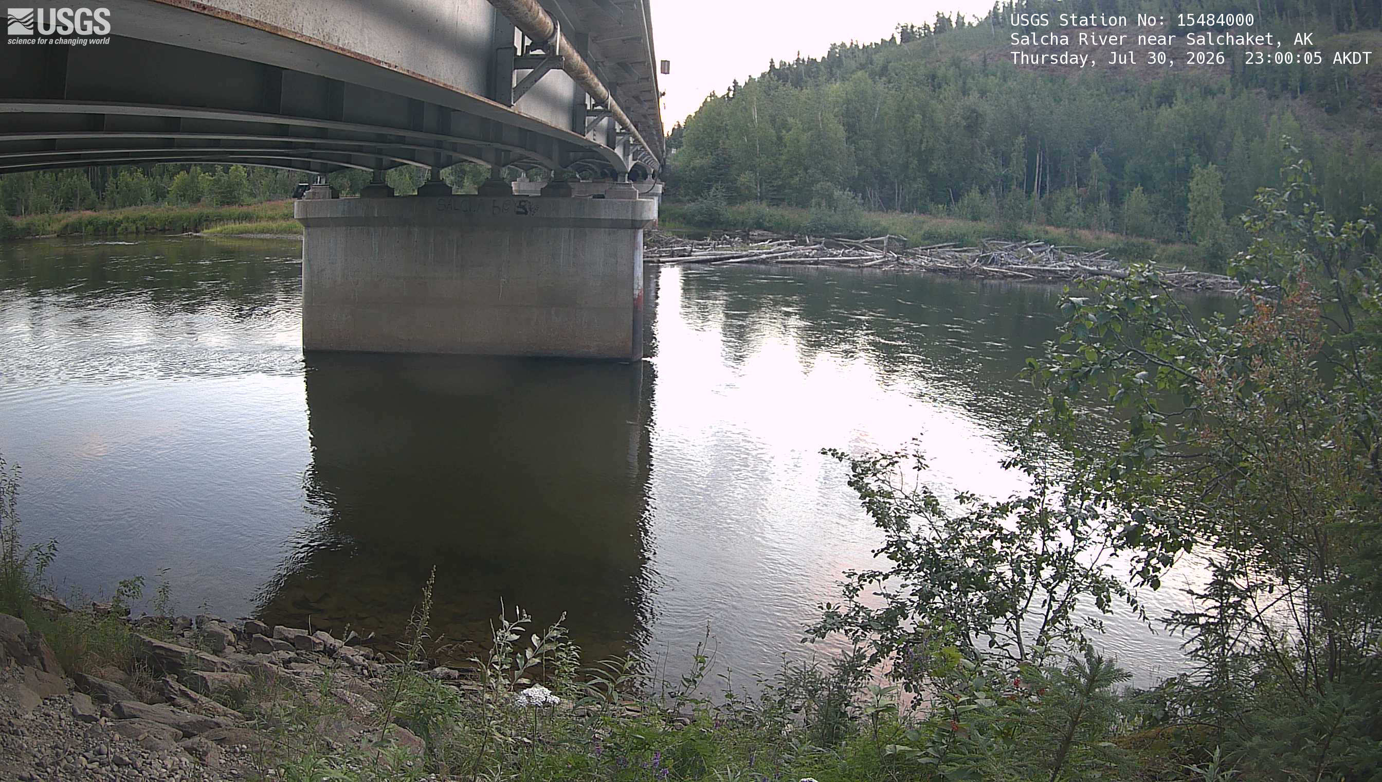Most recent image at Salcha River near Salchaket