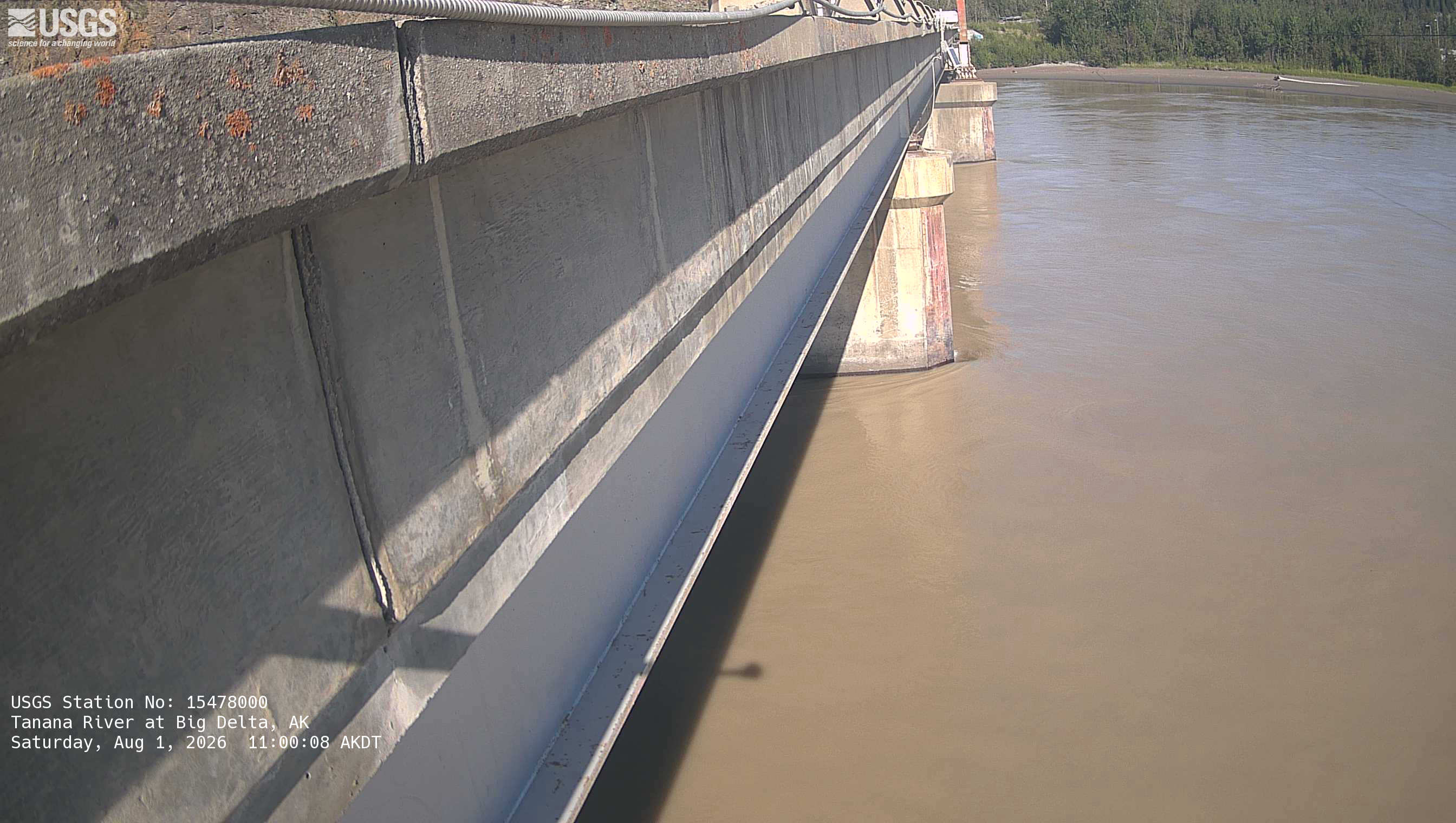 Most recent image at Tanana River at Big Delta