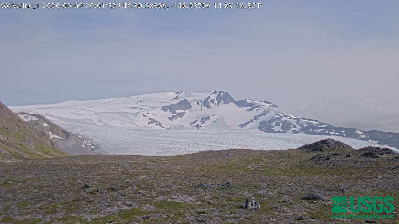 Most recent image at Wolverine Glacier 24 MI NE of Seward