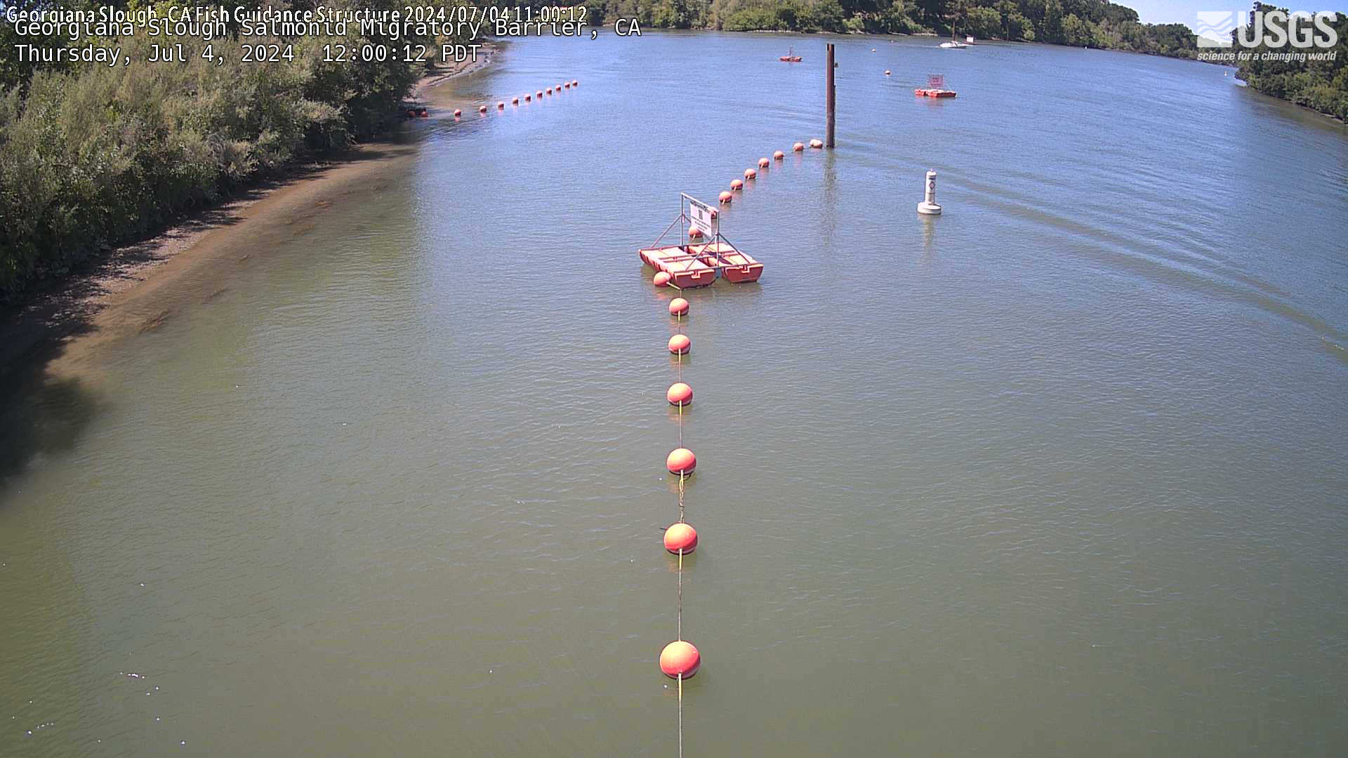 This is the most recent camera image of Georgiana Slough Salmonid Migratory Barrier webcam