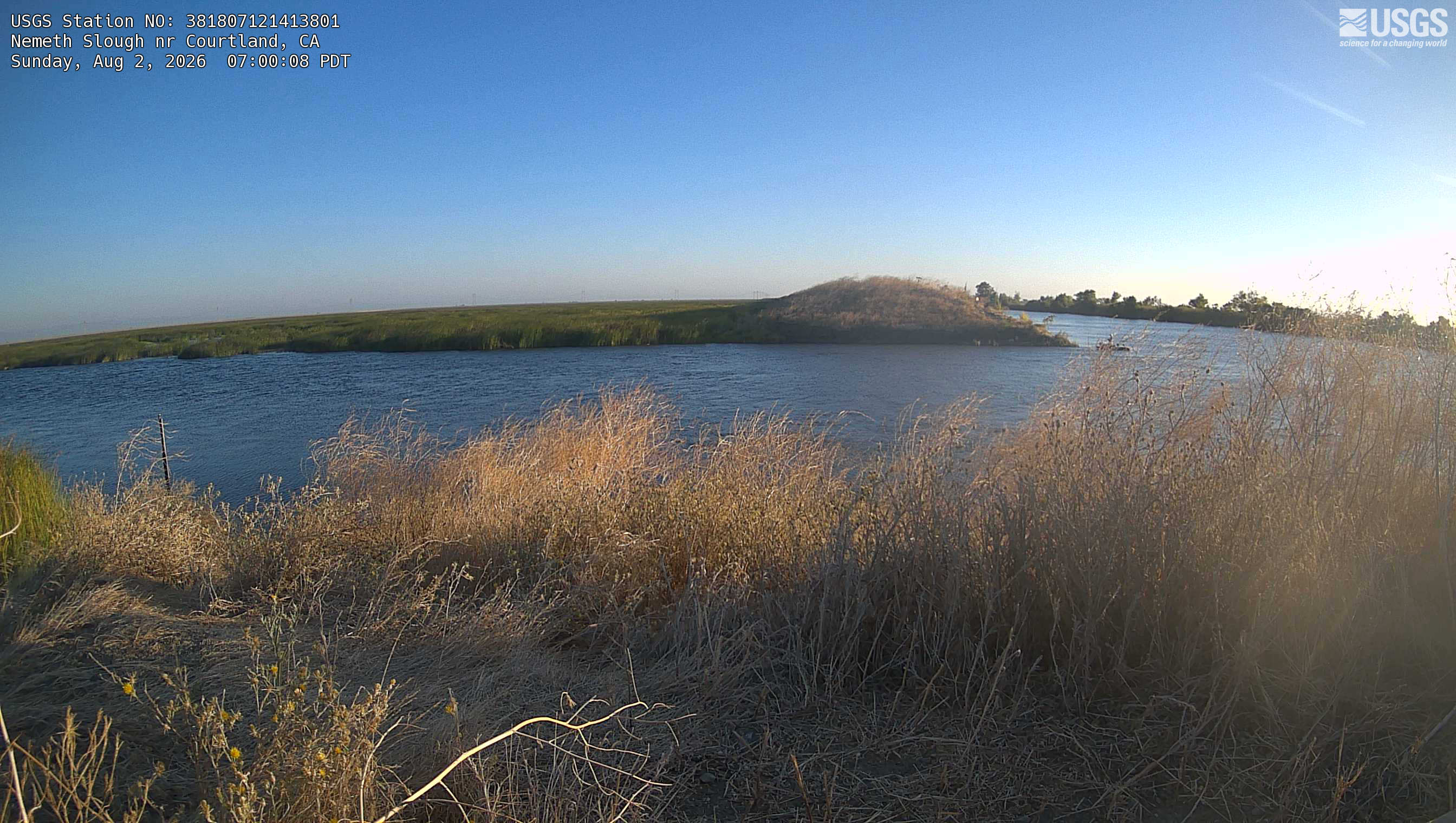 Most recent image at Nemeth Slough nr Courtland