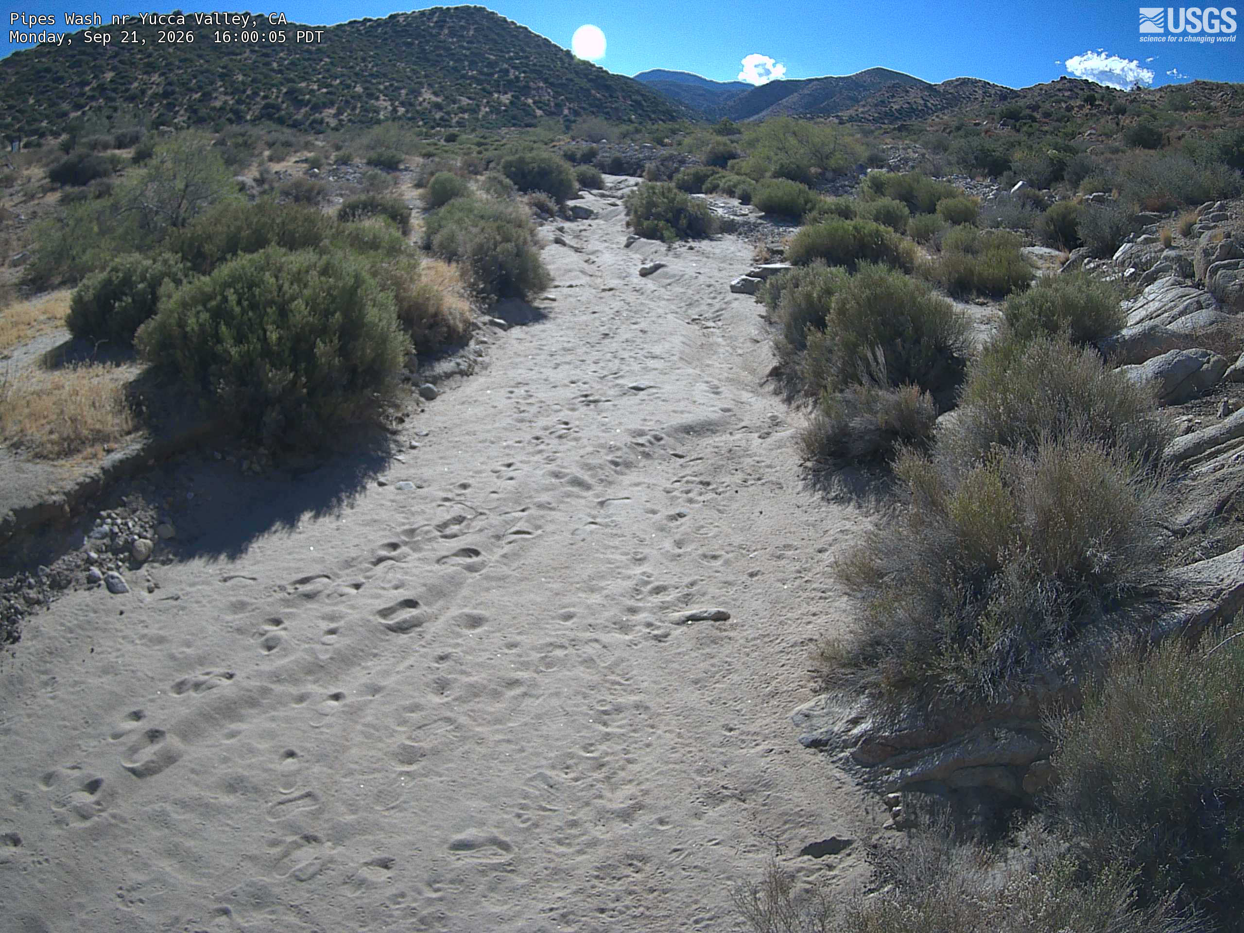 Most recent image at Pipes Wash nr Yucca Valley
