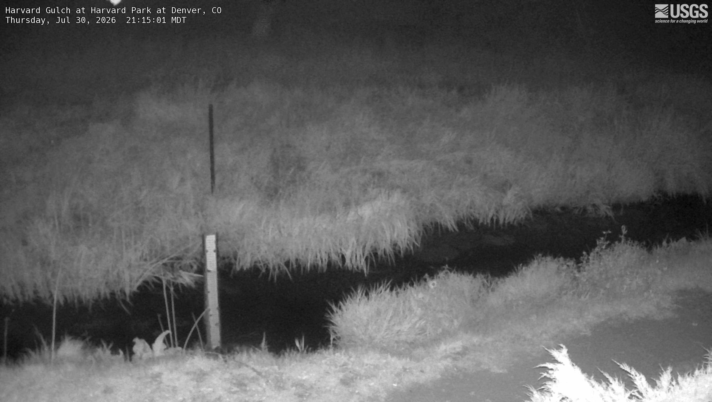 Most recent image at Harvard Gulch at Harvard Park at Denver