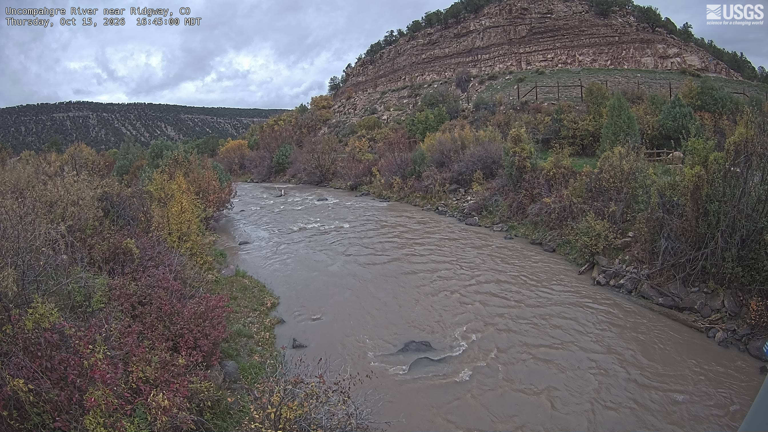 Most recent image at Uncompahgre River near Ridgway