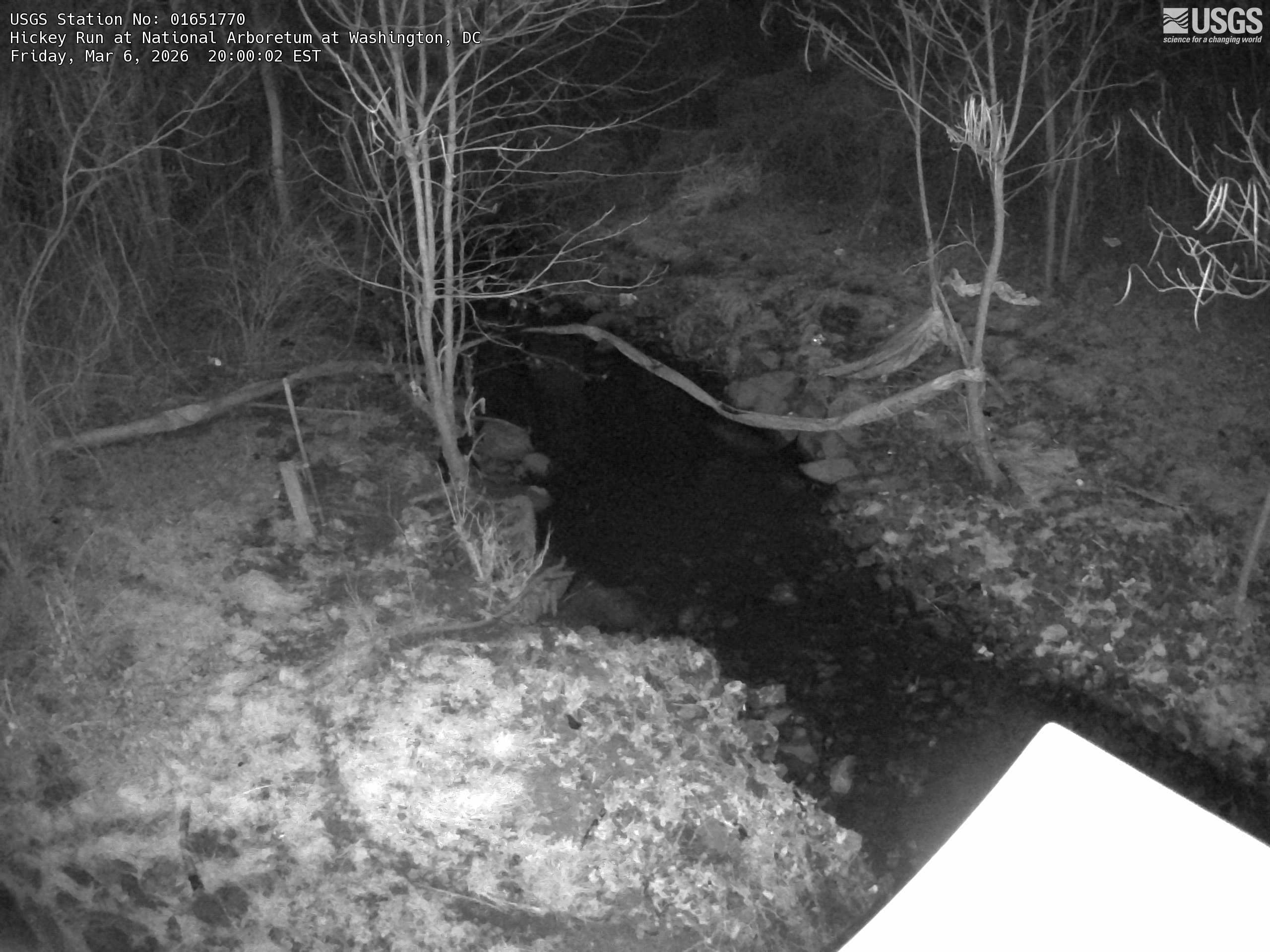 USGS HIVIS CAM Hickey Run at National Arboretum at Washington