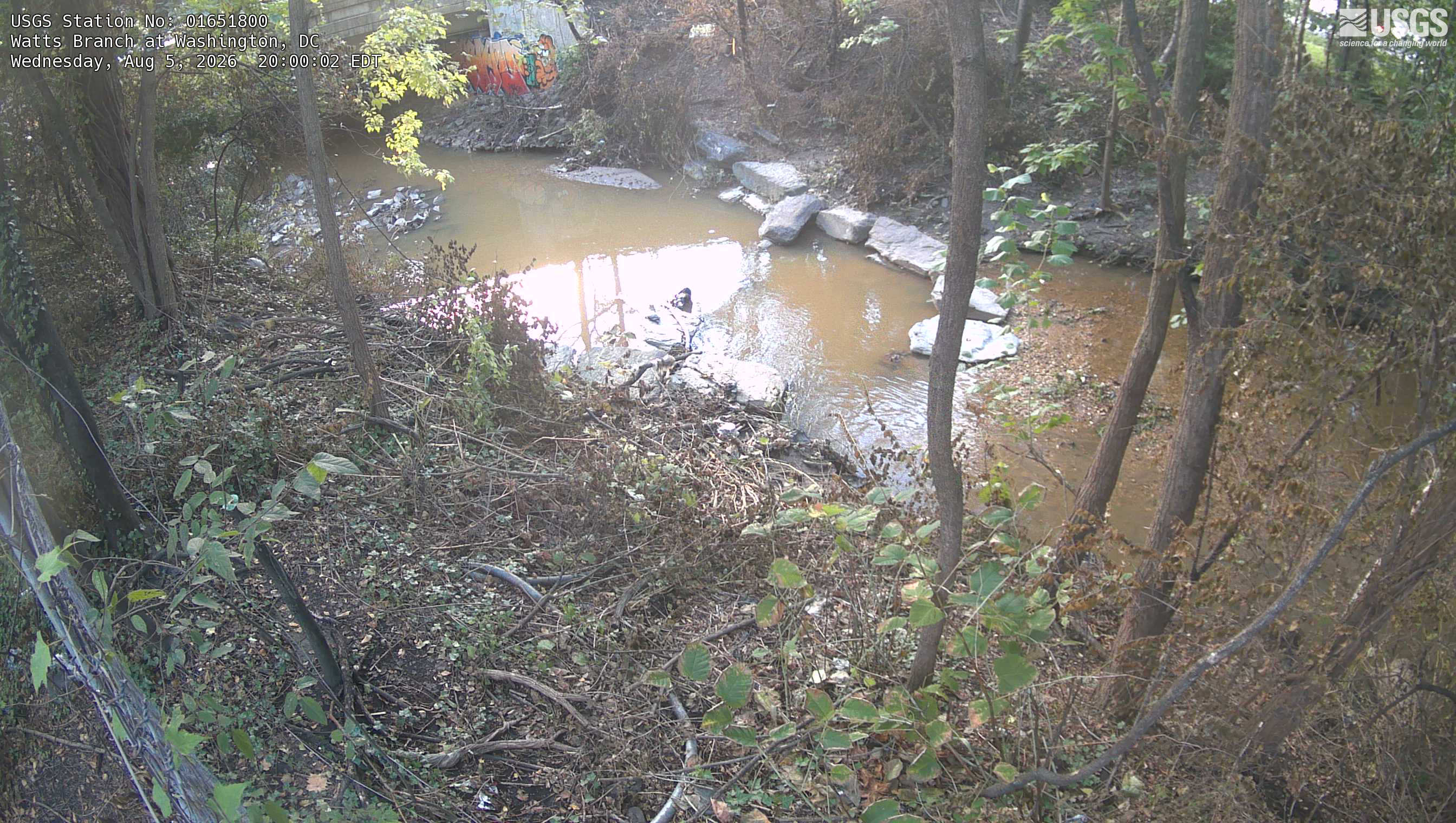 Most recent image at Watts Branch at Washington