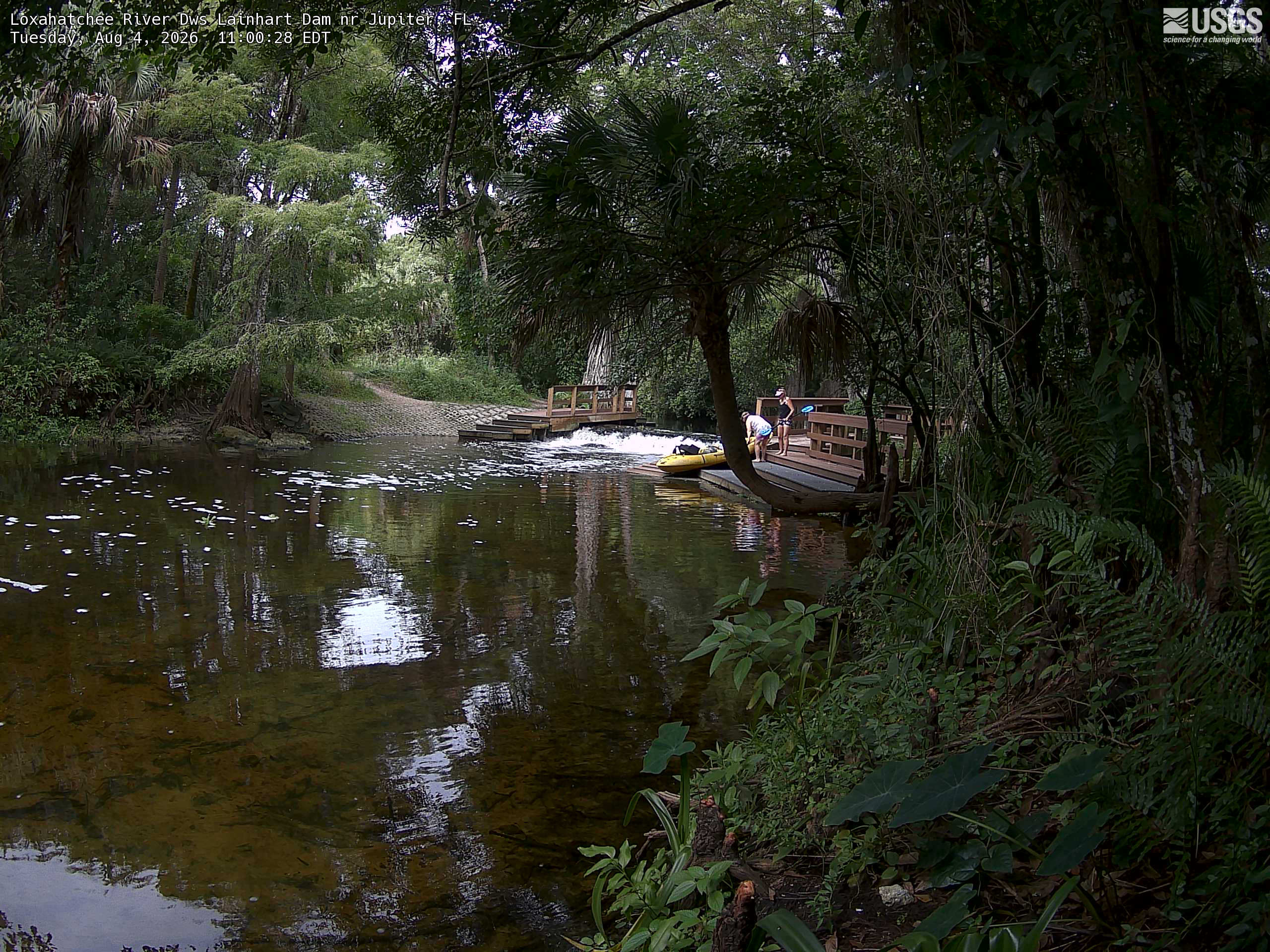 Most recent image at Loxahatchee River Dws Lainhart Dam nr Jupiter