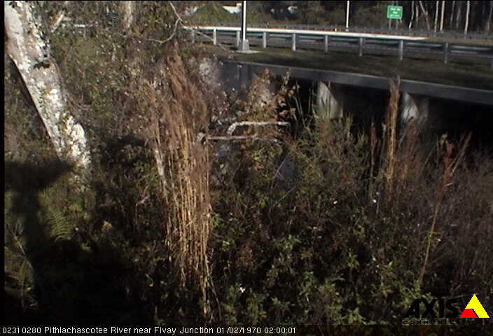USGS HIVIS CAM Pithlachascotee River near Fivay Junction